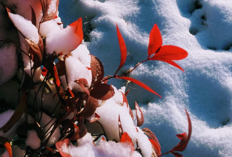 IMG_0562 (1) - Edited.jpg