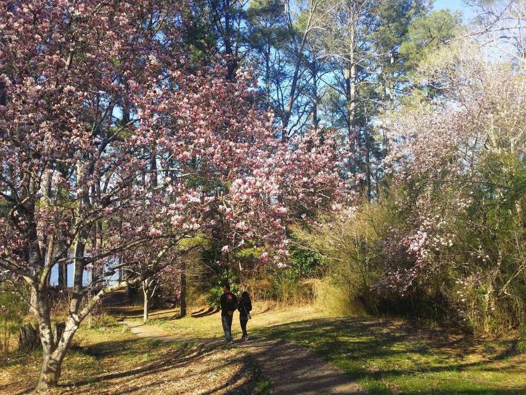 20160305_161751 (1) (1).jpg