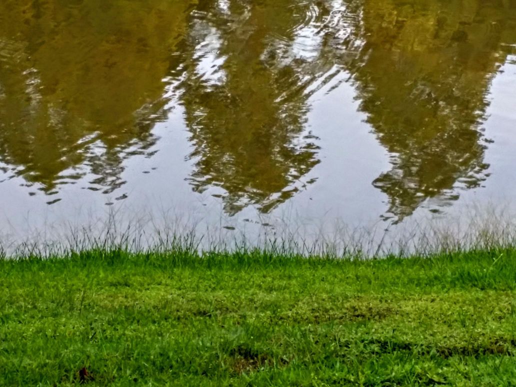 20160720_071957 (2) (1) (1).jpg