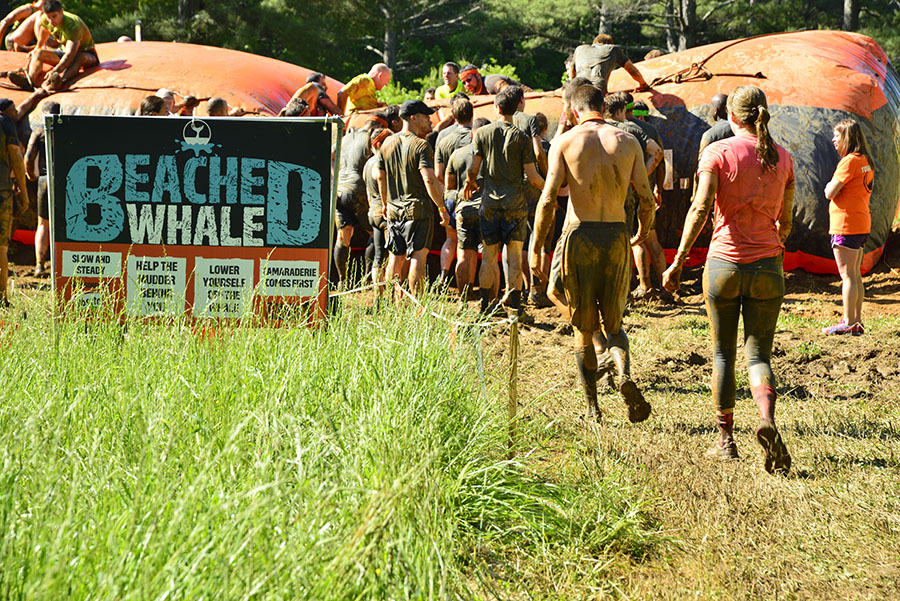 Tough Mudder_8352 - Copy.JPG