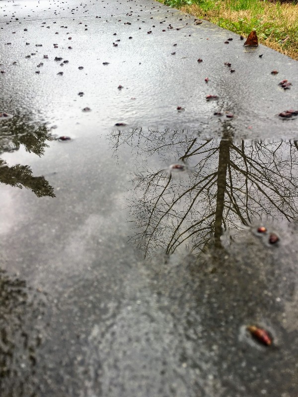 IMG_0873 - Edited.jpg