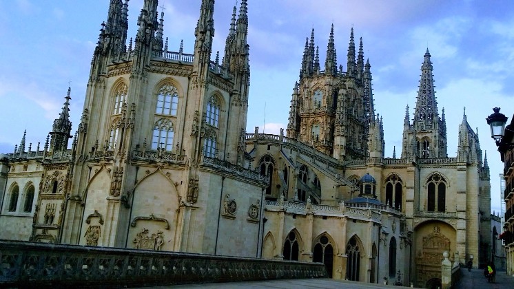 20170730_071935-EFFECTS (1) (1) (1).jpg