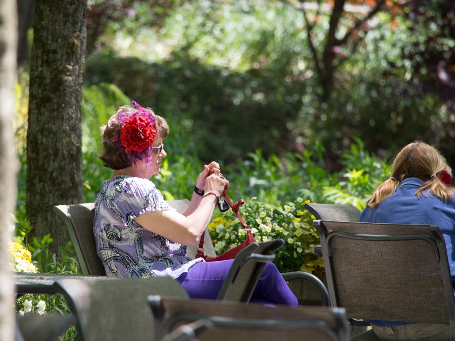 04-26 pretty flower.jpg