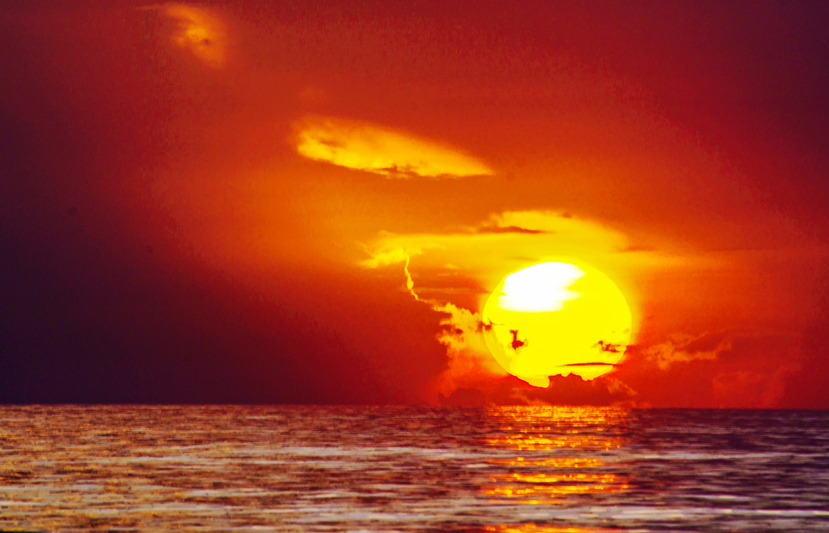 _DSC1801_3653 copy.jpg