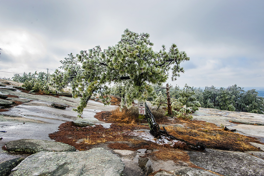 2-26-15 stone M. ice wonderland_8788.JPG