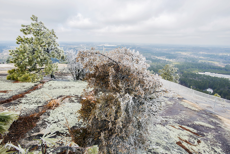 2-26-15 stone M. ice wonderland_8773.JPG