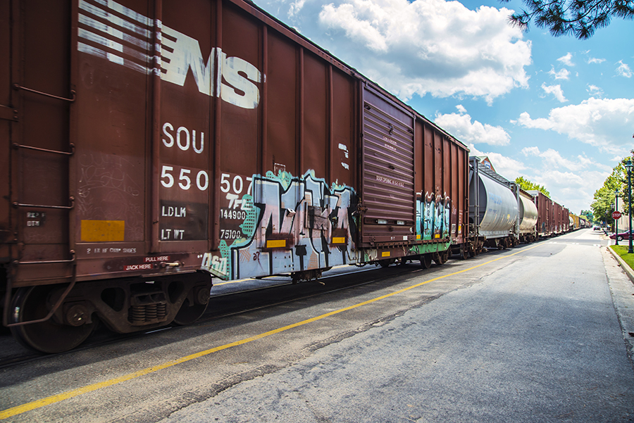 herring day_7047 - Copy.JPG