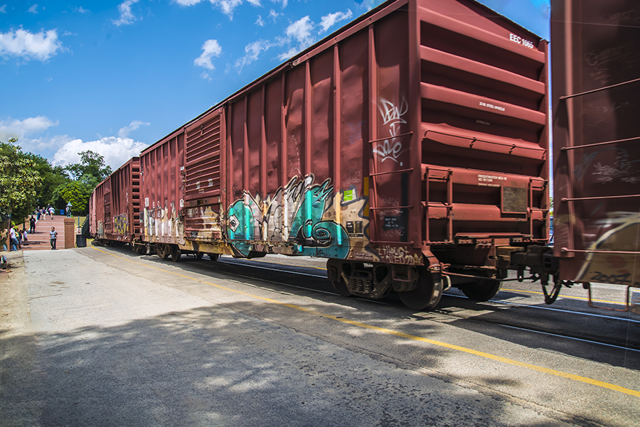 herring day_7043 - Copy.JPG