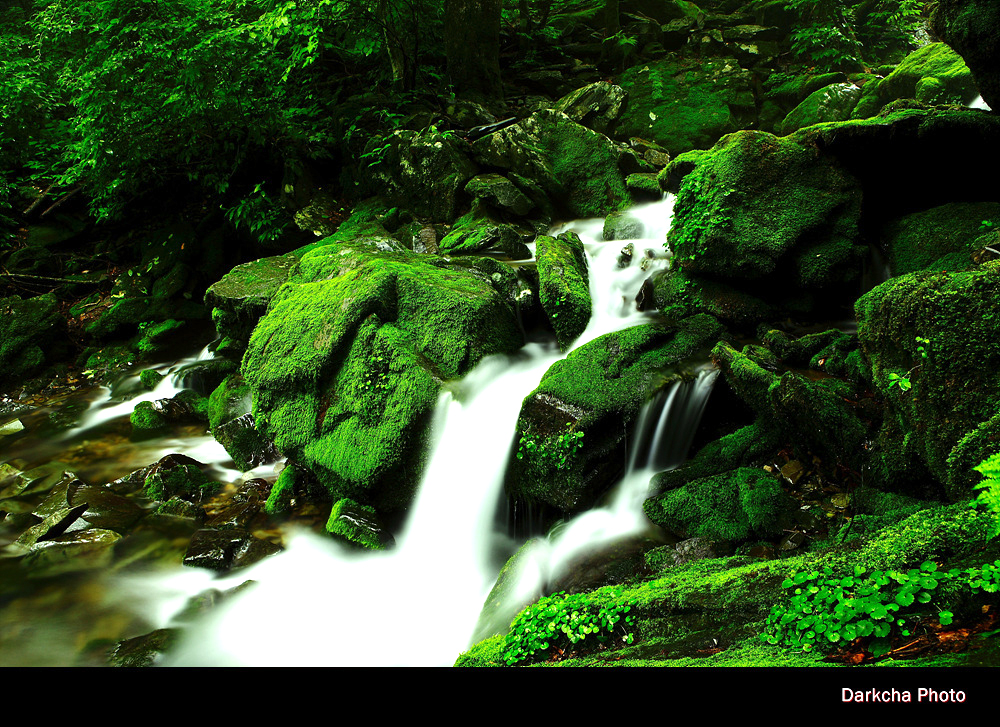 img_5382_dark_cha copy.jpg