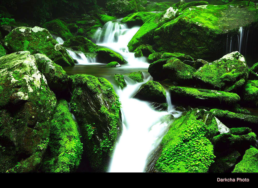 img_5388_dark_cha copy.jpg