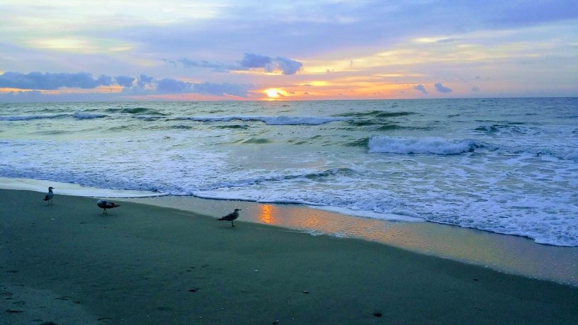 20171022_073136-EFFECTS (1) (1).jpg