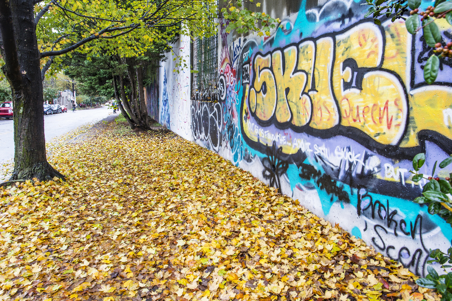 _DSC9933_2826 copy.jpg