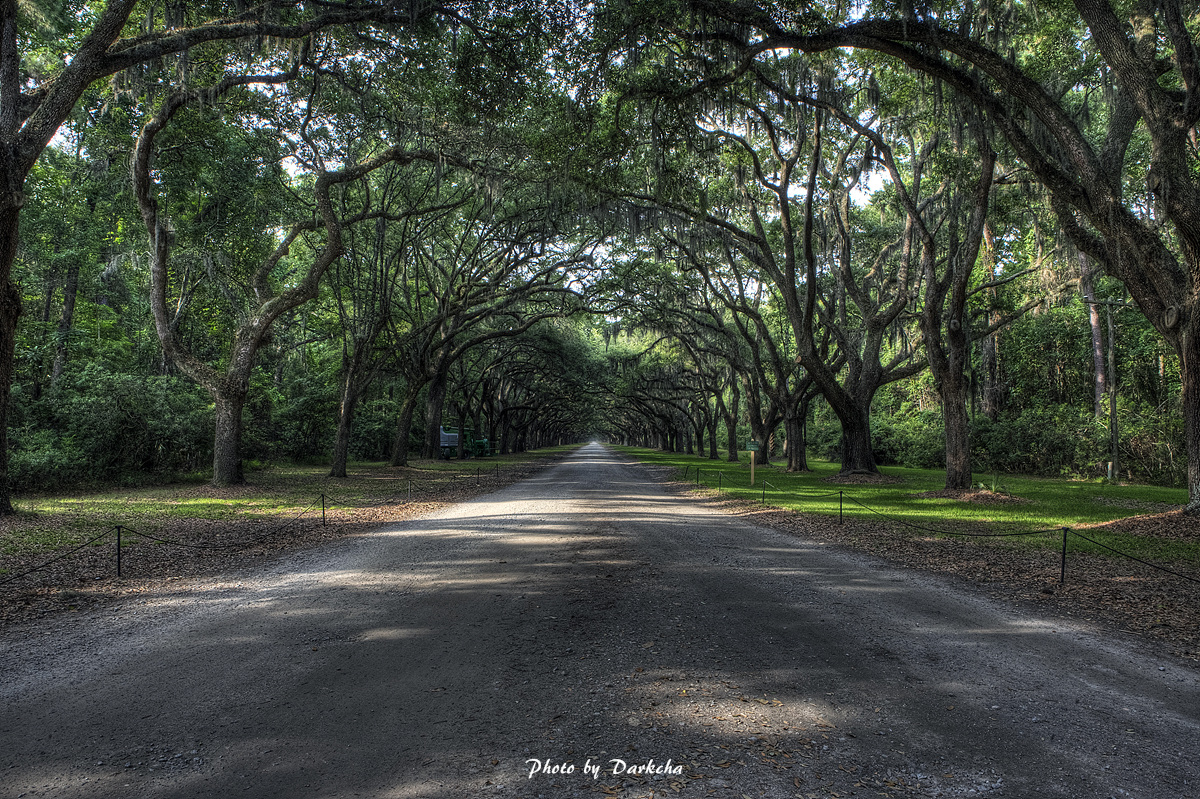 IMG_8239And7more_tonemapped copy.jpg