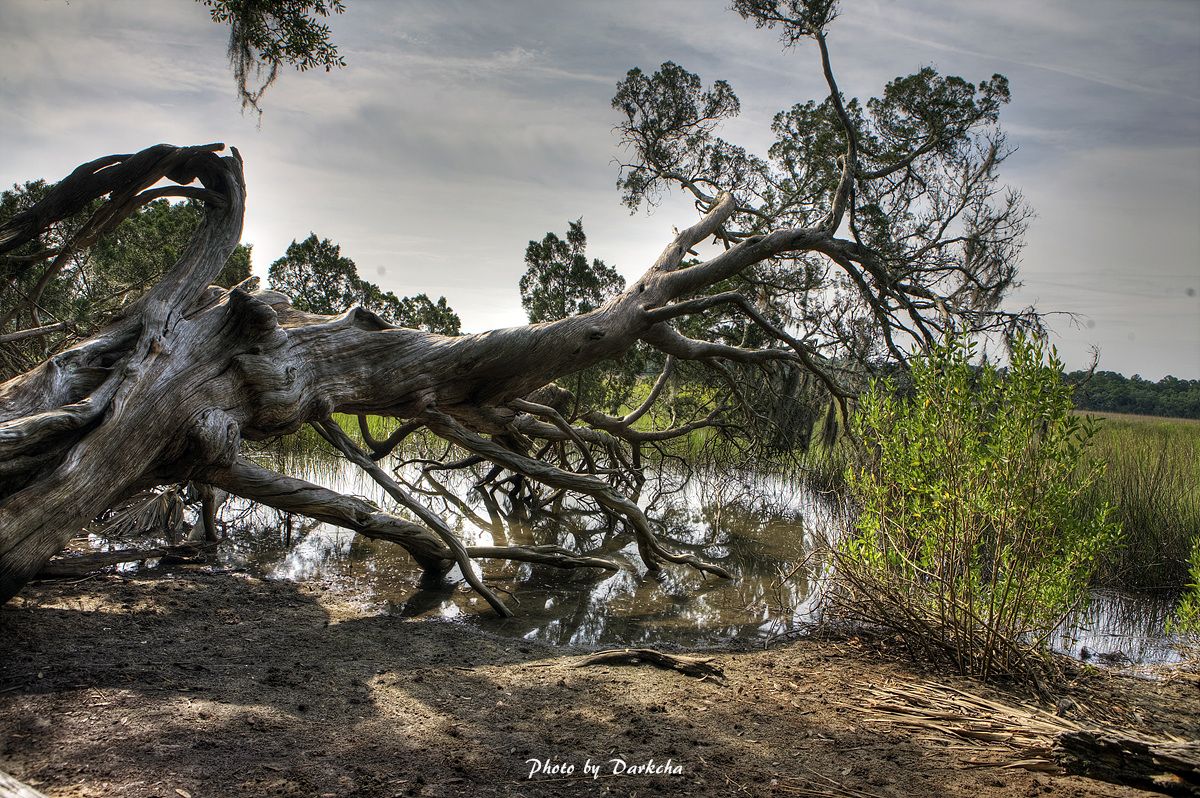IMG_8321_2_3_4_5_6_tonemapped_1 copy.jpg