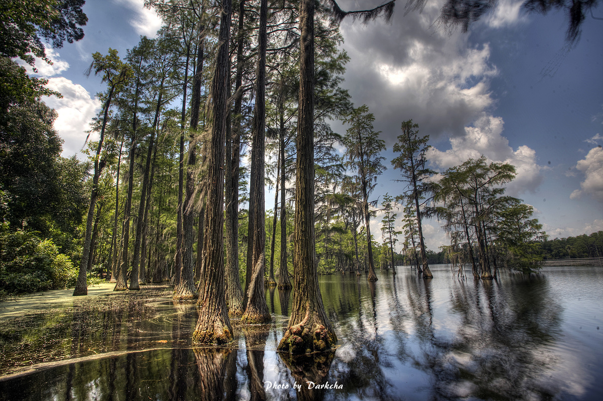 IMG_8403_4_5_6_7_8_9_tonemapped copy.jpg