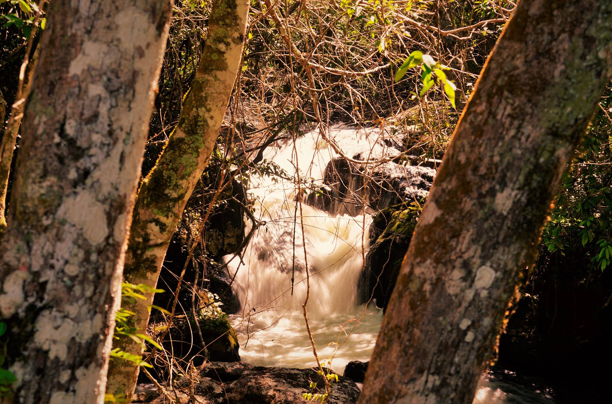 14589601_1206311449448741_8621244469467000792_o (1).jpg