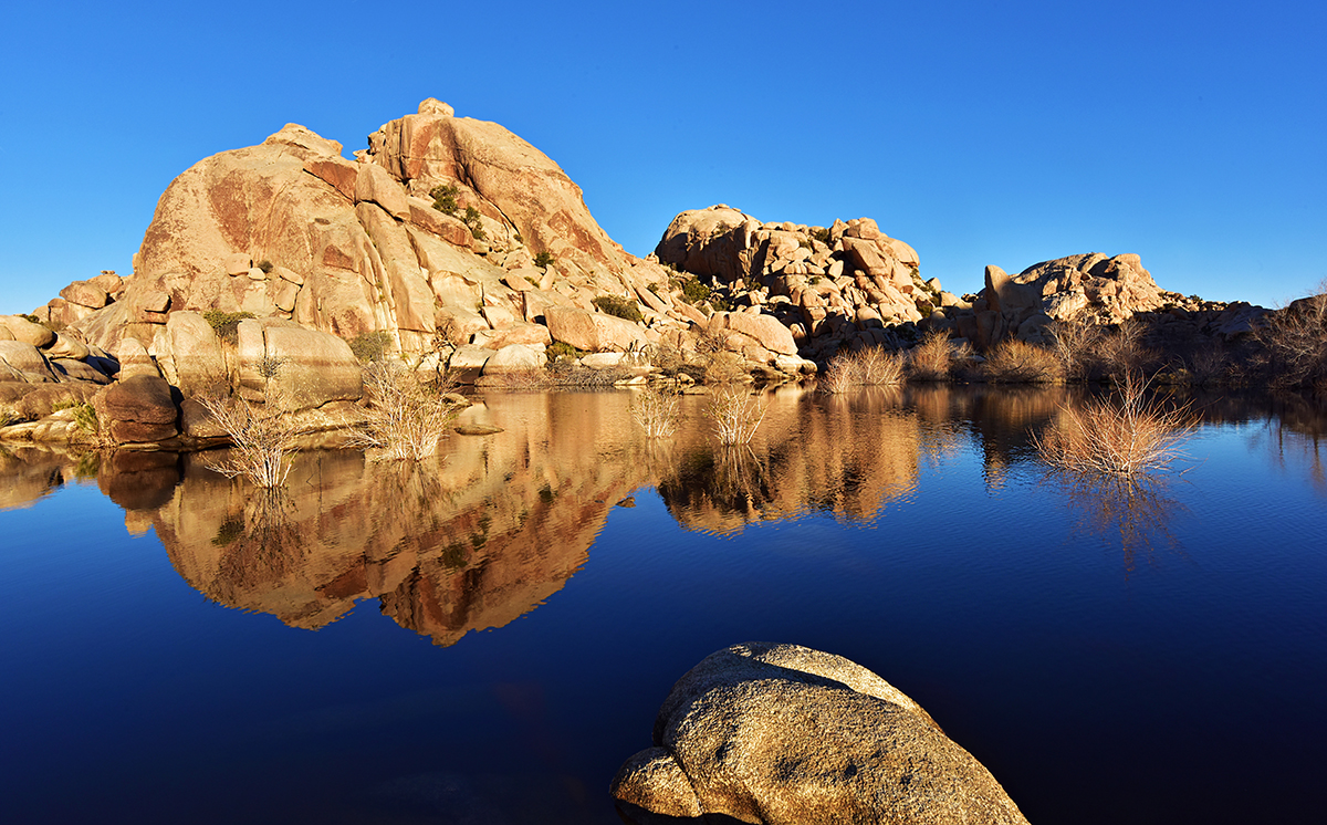 DSC_6298 PS Pscp Crop 1200px.jpg