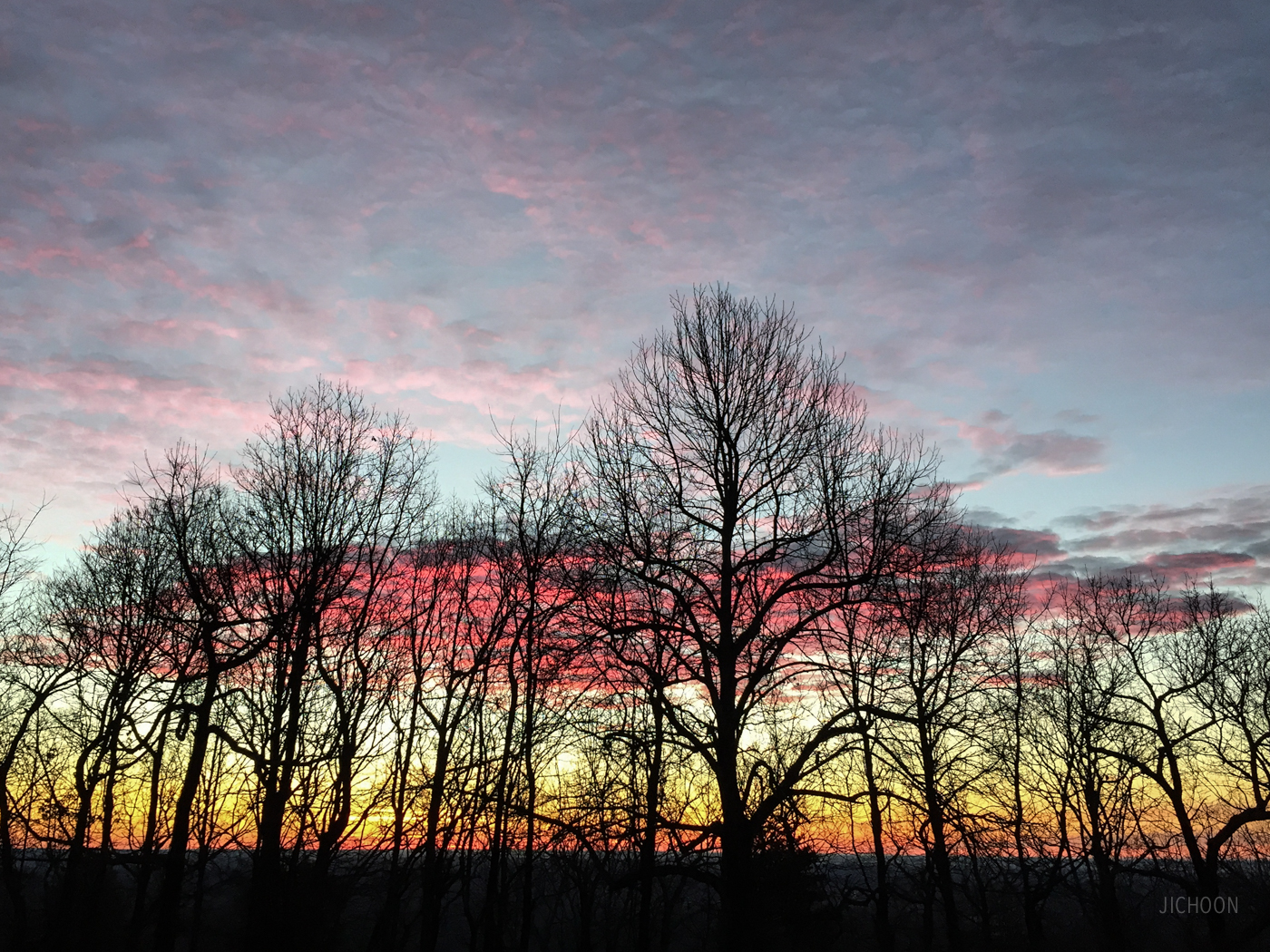 2015-01-01 07.30.18.jpg