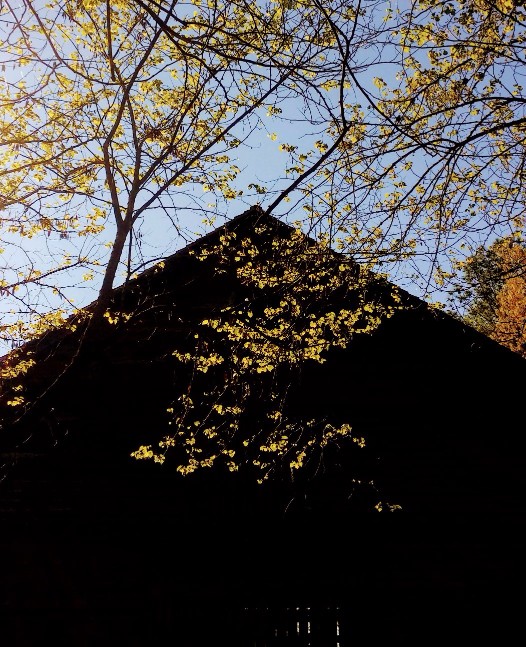 20170402_093520 (1) (1).jpg