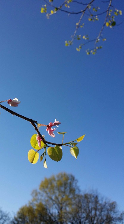 20170402_085409-1 (1) (1).jpg