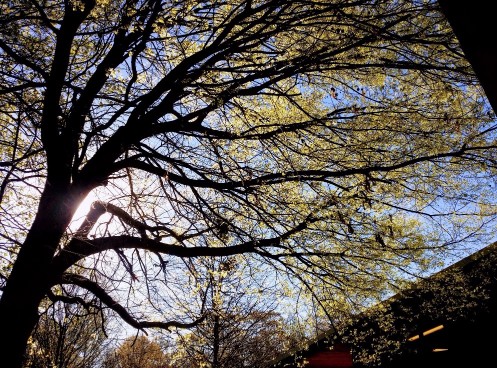 20170402_091839 (1) (1) (1).jpg