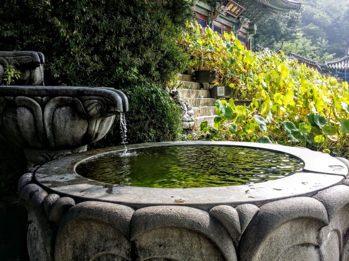 20150920_103246 (2) (1).jpg