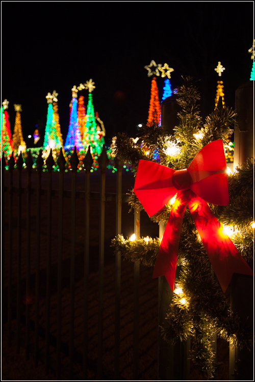 christmaslights-7.jpg