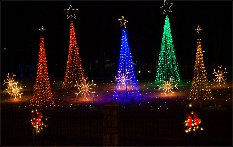 christmaslights-8.jpg