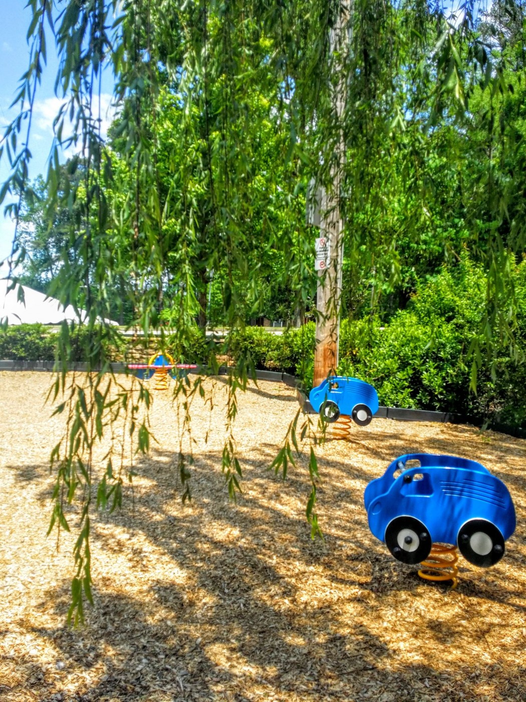 20160506_141313 (1).jpg