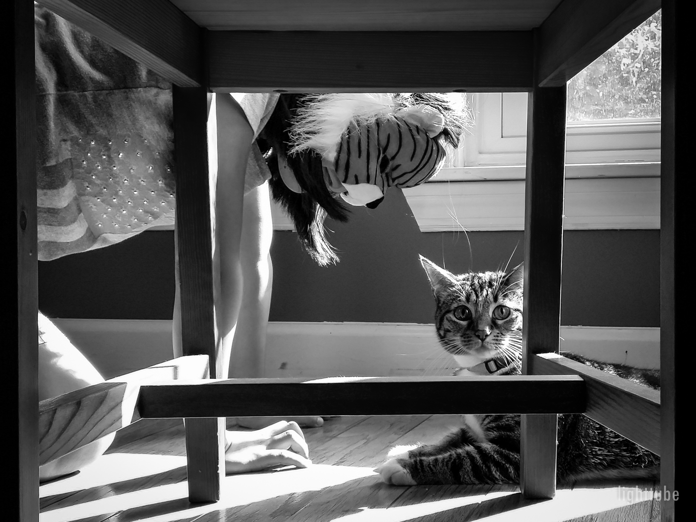 2014-08-16 09.47.24.jpg