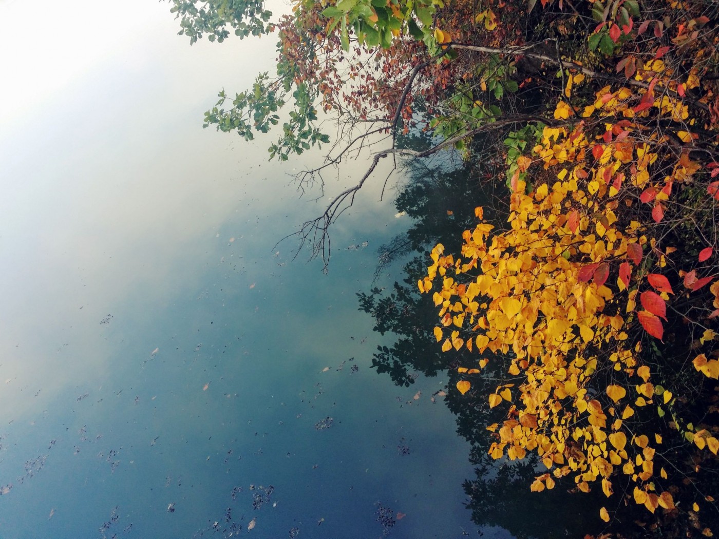 20151028_090908 (1).jpg