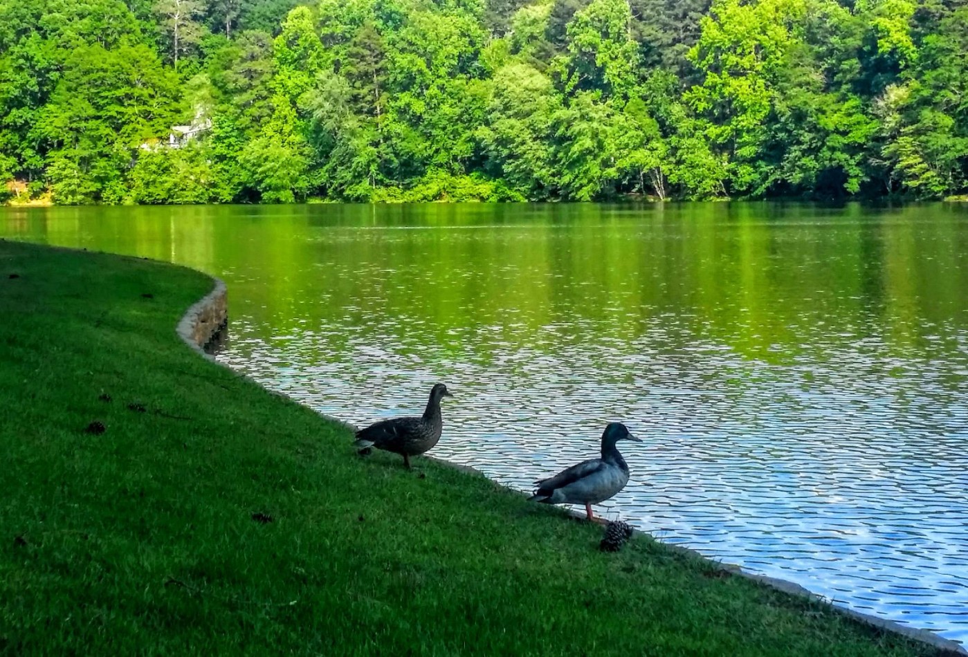 20160523_174315 (1).jpg