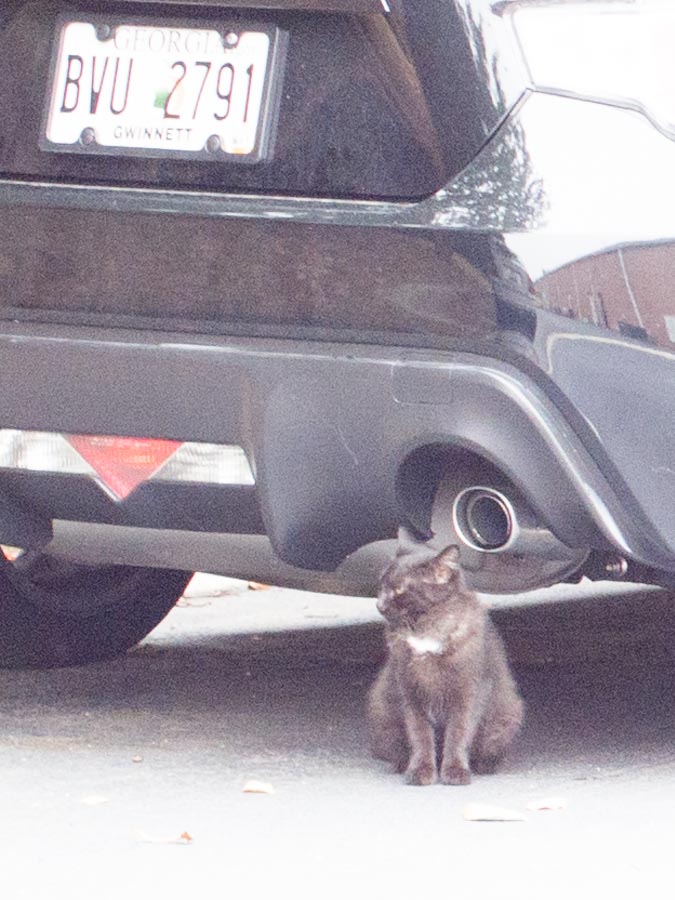 2014-10 두마리 2.jpg