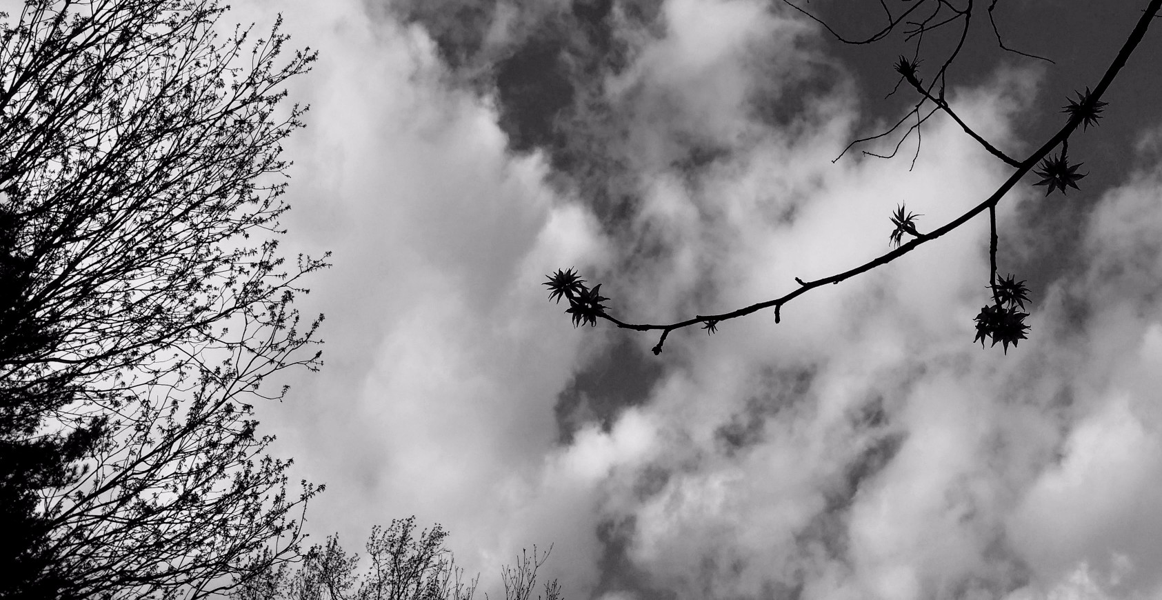 20170406_181210 (1) (1).jpg