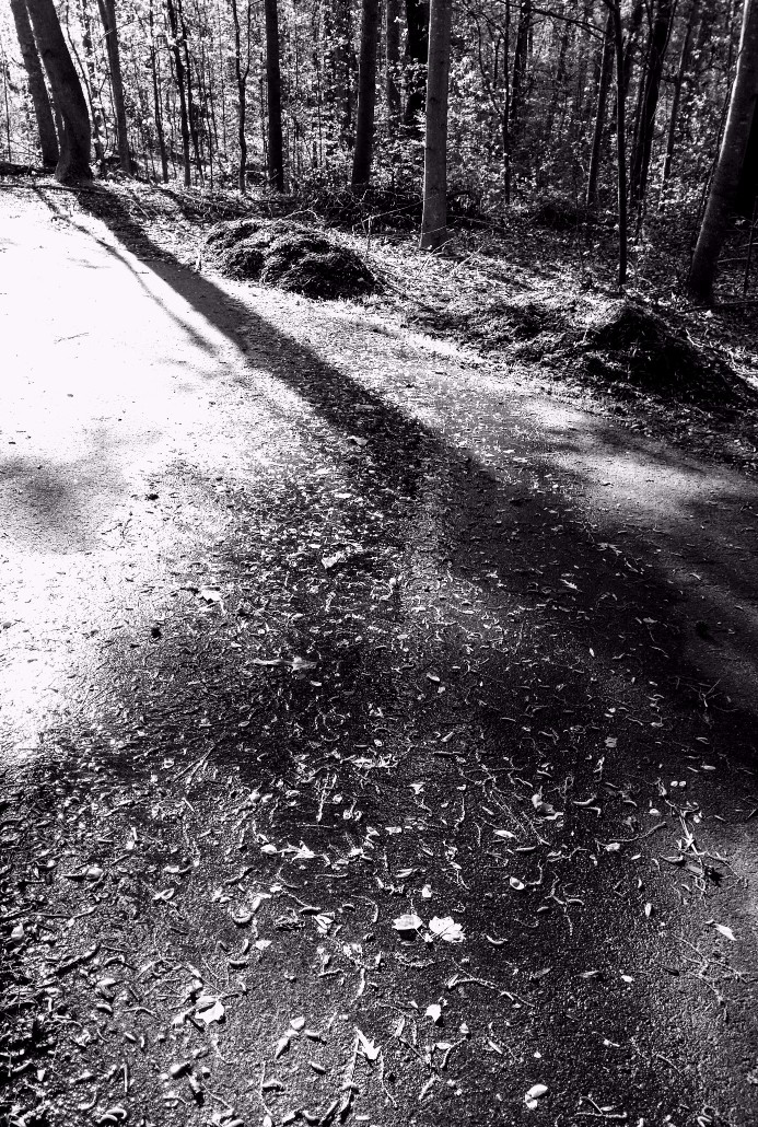 20170406_180543 (1) (1) (1).jpg