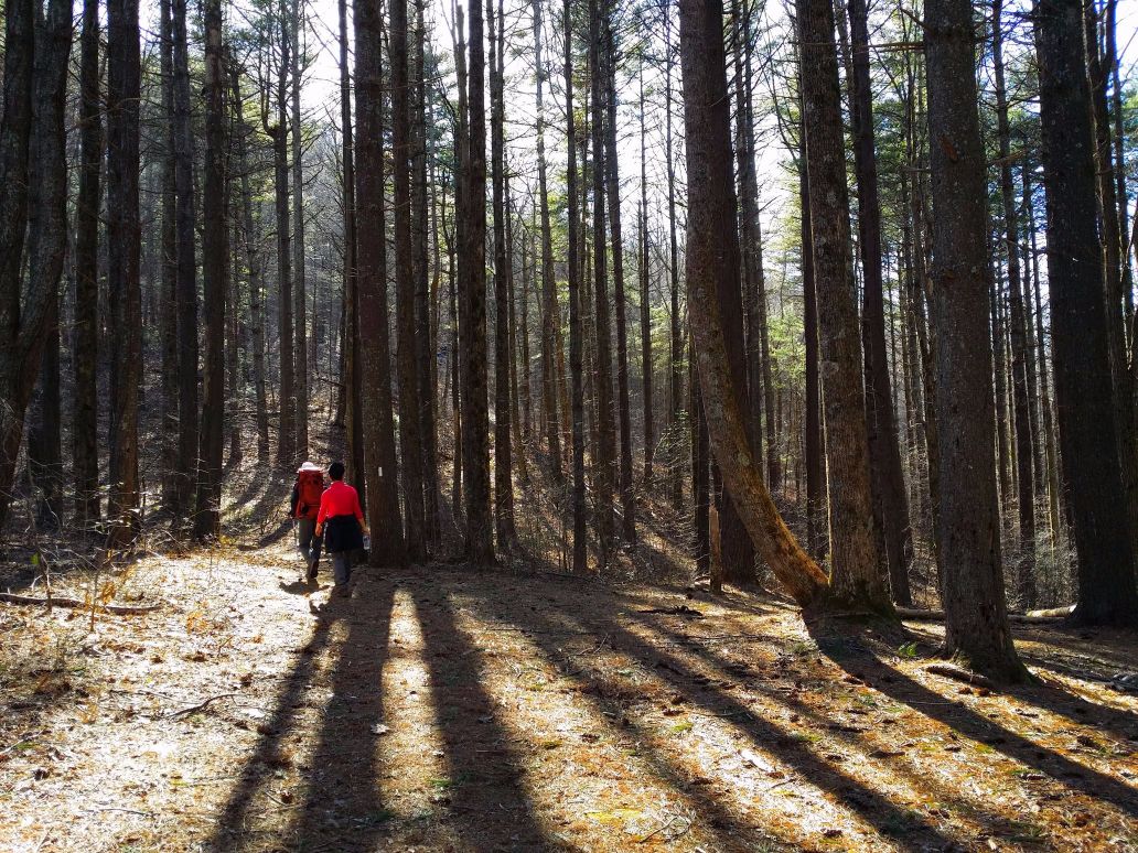 20160228_153350 (1) (1).jpg