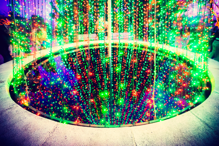 botanical-garden=x-mas-lights-22.jpg
