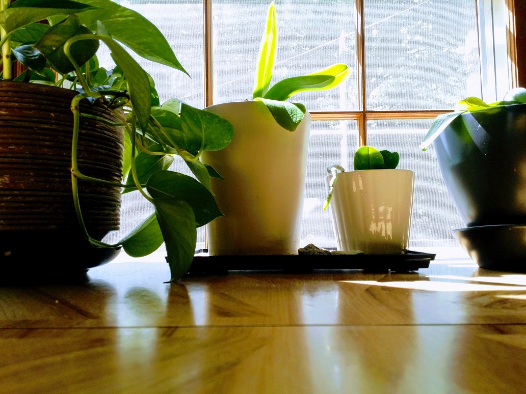 20170507_105543 (1) (1).jpg