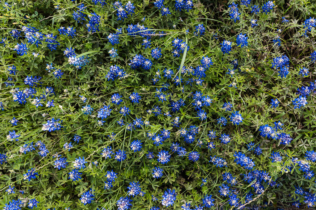 제목 없음-0388.jpg