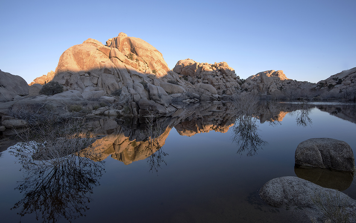 DSC_6140 NEF PS Crop Tilt 1200px.jpg