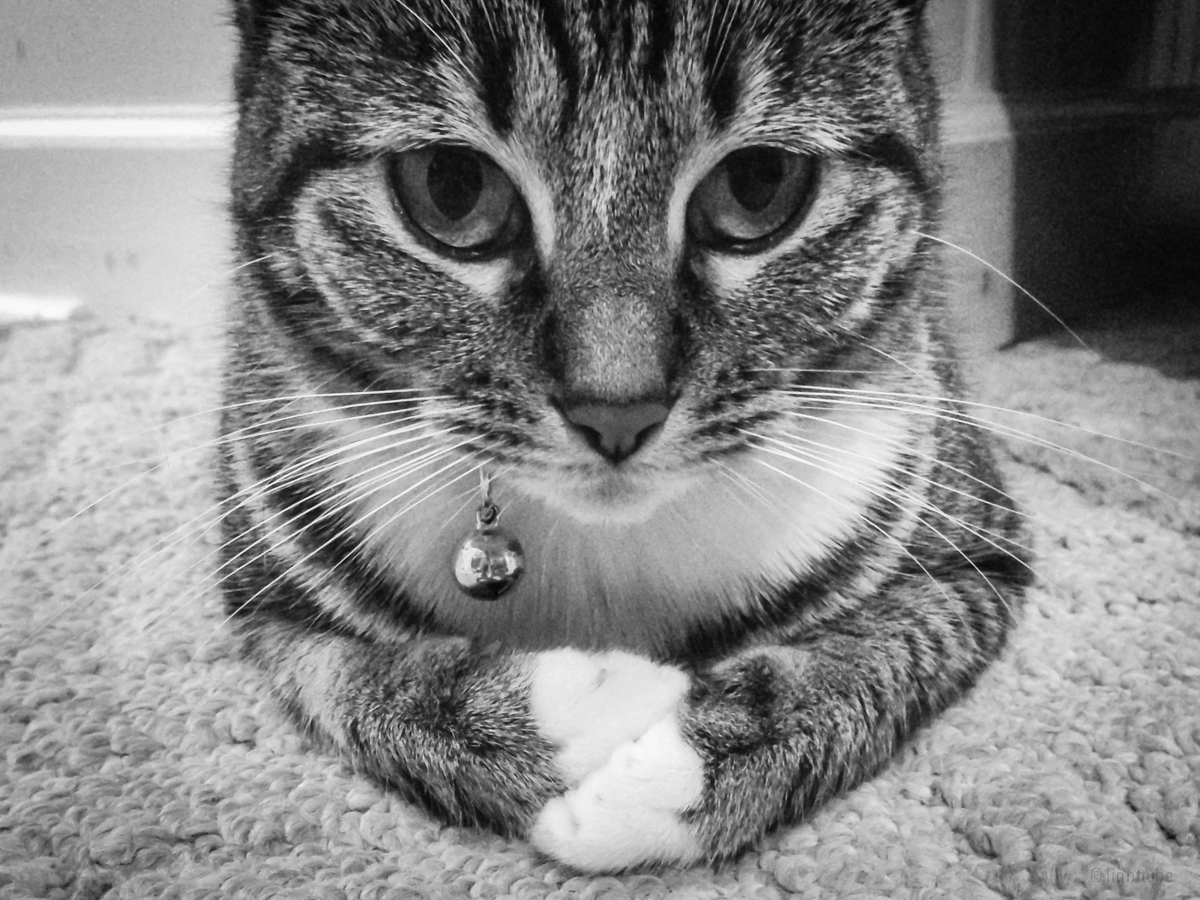 2013-01-12 20.33.35.jpg