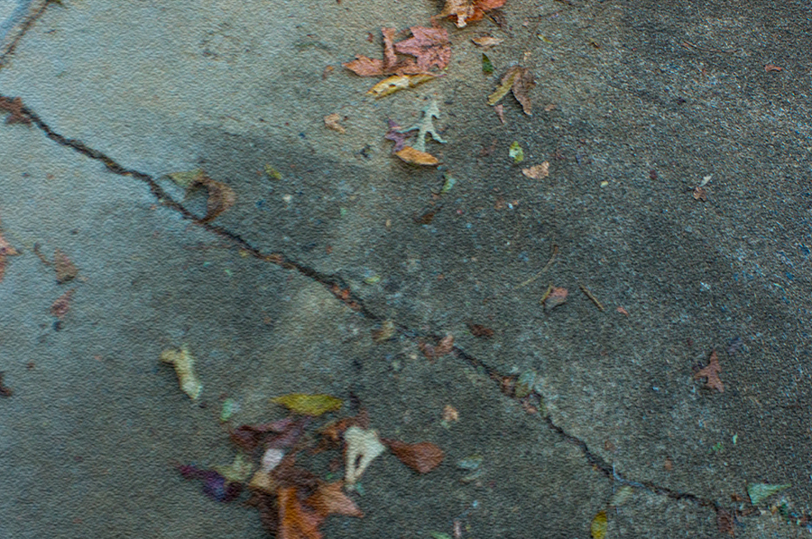 LeavesOnPavement1a.jpg