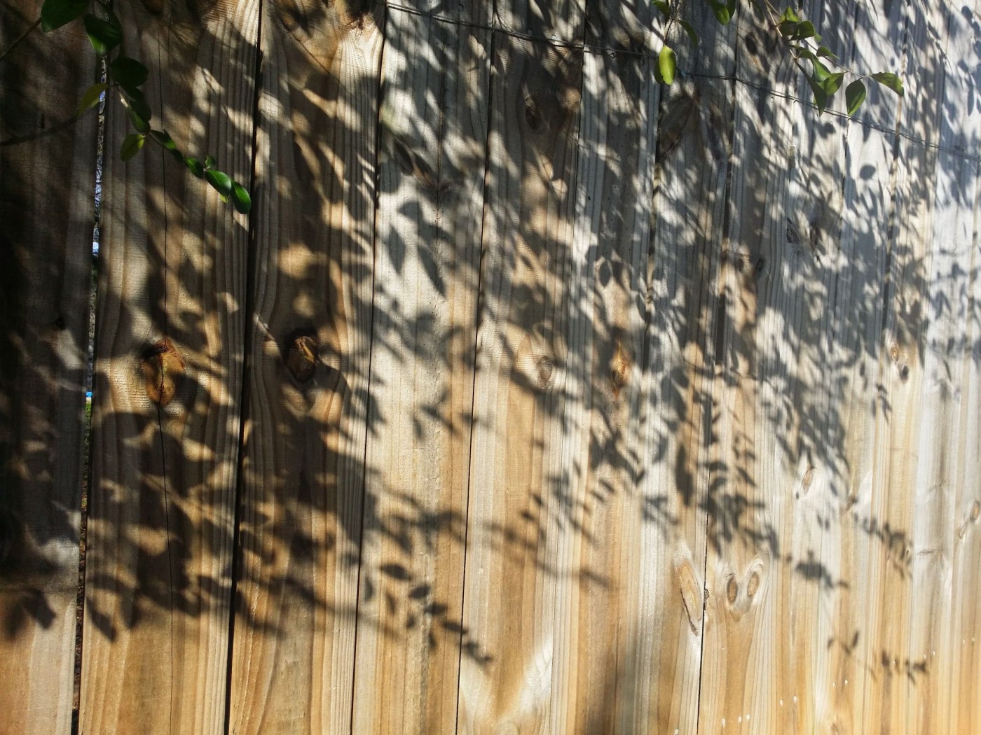 20160116_145632 (1).jpg