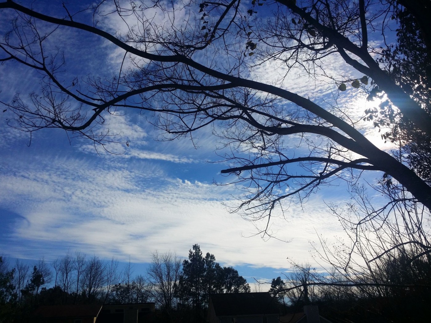 20160116_144628 (1).jpg