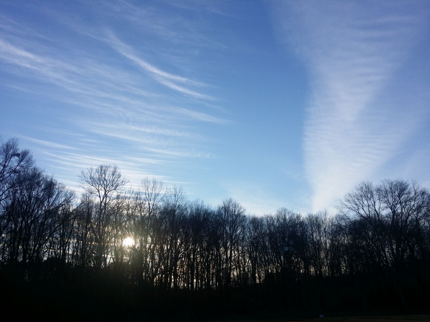 20160116_170319 (1).jpg