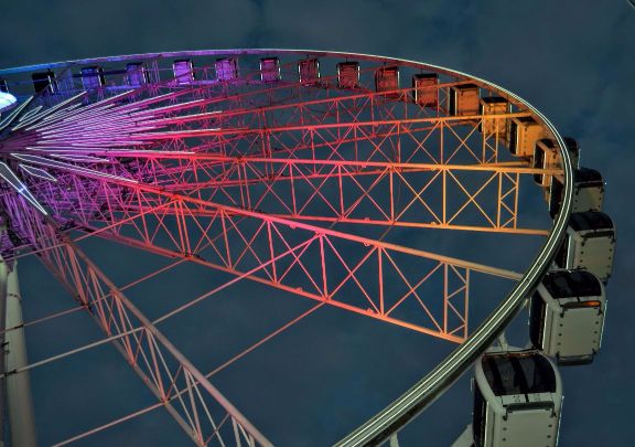 DSC_0233 (1) (1).jpg