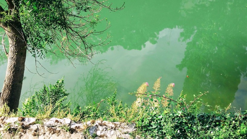 20170721_190252 (1) (1).jpg