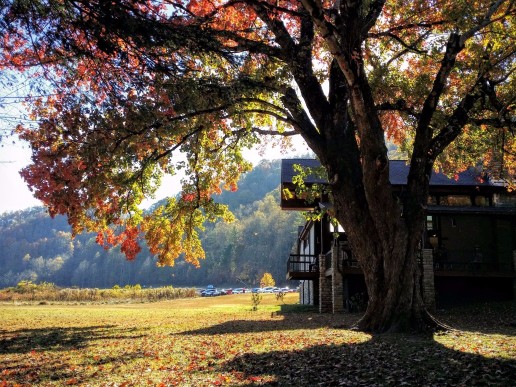 20161029_155112 (1) (1) (1).jpg