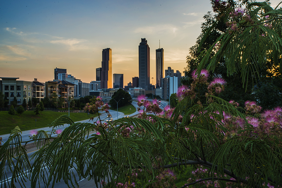 _DSC8088_1415 - Copy.JPG