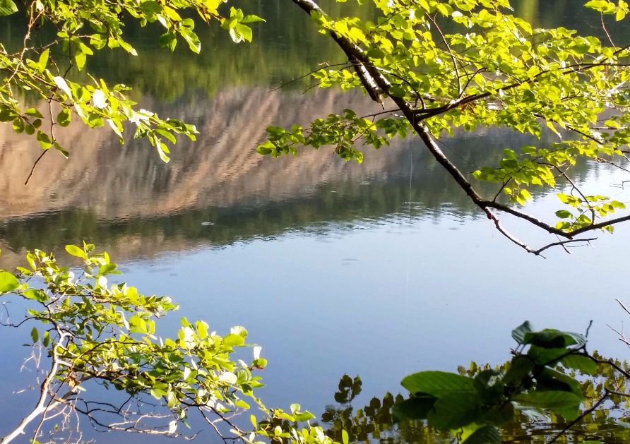 20160731_081909 (1) (1).jpg